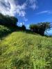 Annonce Vente Terrain Morne-vert