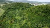 Vente Terrain Vauclin 972