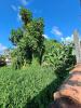 Annonce Vente Terrain Fort-de-france