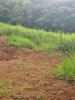 Acheter Terrain Lamentin