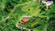 Acheter Terrain Ducos Martinique