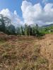 Vente Terrain Lamentin 972