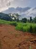 Annonce Vente Terrain Lamentin