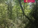 Annonce Vente Terrain Antist