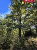 Acheter Terrain Antist Hautes pyrenees