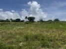 Vente Terrain Petit-canal 971