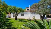 Annonce Vente 6 pices Maison Saint-cyprien
