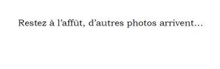 Annonce Location 2 pièces Appartement Nancy