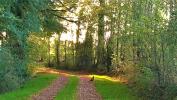 Acheter Terrain Jeu-les-bois Indre