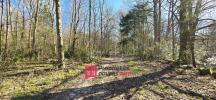 Forested aera FERTE-SOUS-JOUARRE 