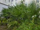 Apartment VICHY 