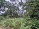 Annonce Vente Terrain Escalans