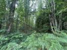 Acheter Terrain Escalans Landes