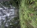 Acheter Terrain Escalans 118000 euros