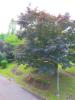 Acheter Appartement Yerres 125000 euros