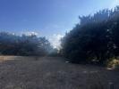 Annonce Vente Terrain 