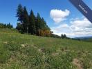 Annonce Vente Terrain Monestier
