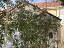 Acheter Maison 105 m2 Brive-la-gaillarde
