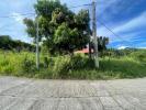Acheter Terrain 1215 m2 Vauclin