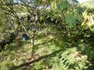 Annonce Vente 3 pièces Maison Roquecourbe