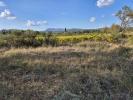 Land MONTFORT-SUR-ARGENS 