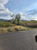 Land MONTFORT-SUR-ARGENS 