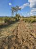 Land MONTFORT-SUR-ARGENS 