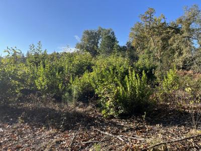 photo For sale Land BREDE 33