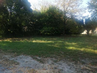 photo For sale Land BREDE 33