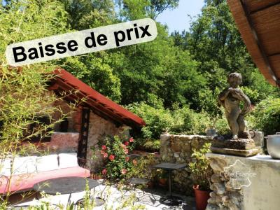 photo For sale Prestigious house SALIES-DE-BEARN 64