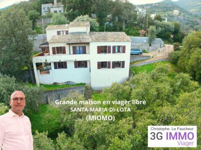 Vente Maison 6 pièces SANTA-MARIA-DI-LOTA 20200