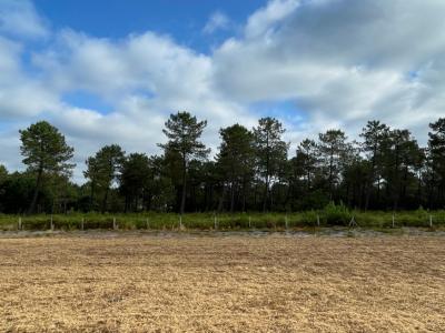 photo For sale Land PARENTIS-EN-BORN 40