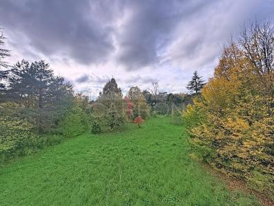 Vente Appartement SAINT-CYR-AU-MONT-D'OR