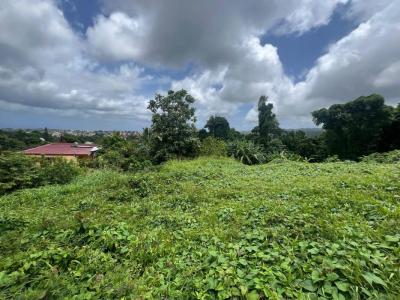 Vente Terrain FORT-DE-FRANCE 97200
