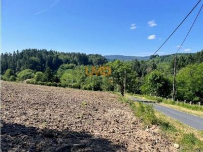 For sale Land MONESTIER  63