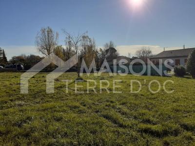 Vente Terrain PINS-JUSTARET 31860