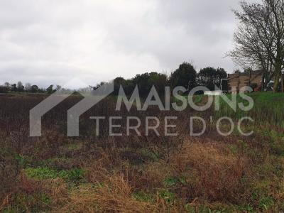 Vente Terrain LUX 31290