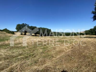 Vente Terrain PUJAUDRAN 32600