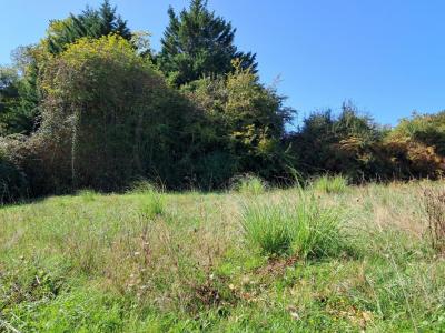 photo For sale Land SOULIGNAC 33