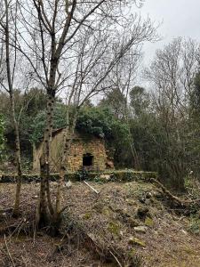 photo For sale Land SAINT-VINCENT-D'OLARGUES 34
