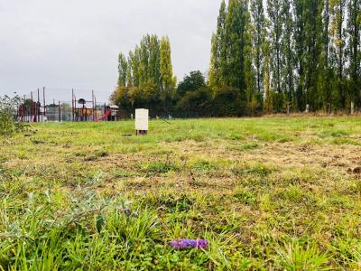 Vente Terrain NECY  61