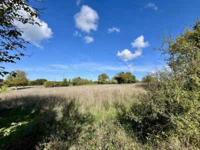 Vente Terrain BOURDEILLES 24310