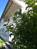 Annonce Vente 5 pièces Maison Isle-d'espagnac