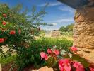 House UZES 