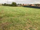 Annonce Vente Terrain Hamel