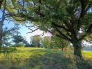 Vente Terrain Montdurausse 81