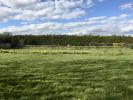 Annonce Vente Terrain Hangest-en-santerre