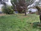 Annonce Vente Terrain Cornas