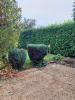 Acheter Maison Bourg-en-bresse Ain
