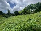 Annonce Vente Terrain Fort-de-france